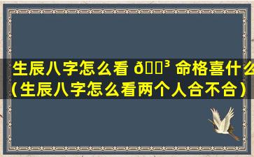 生辰八字怎么看 🌳 命格喜什么（生辰八字怎么看两个人合不合）